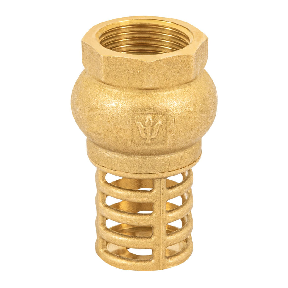 Pichancha con rejilla de laton FOSET 3/4"