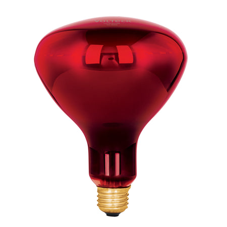 Lampara incandescente de calor BR40 270 Watts rojo