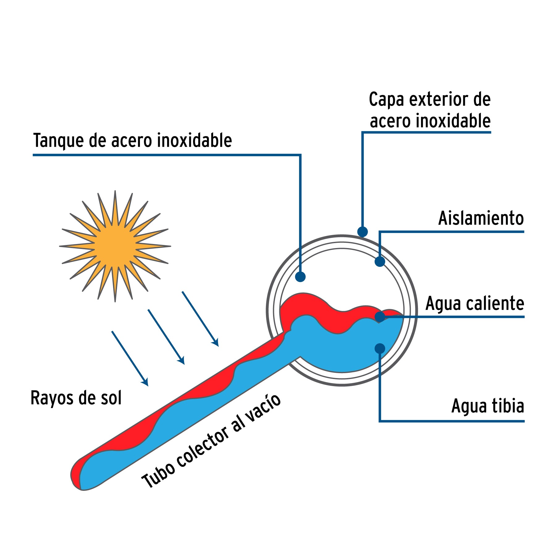 Calentador solar de agua, 12 tubos, 150L, 4 personas, FOSET