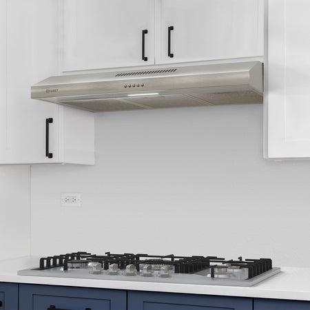 Campana extractora empotrable acero inoxidable FOSET 60 cm