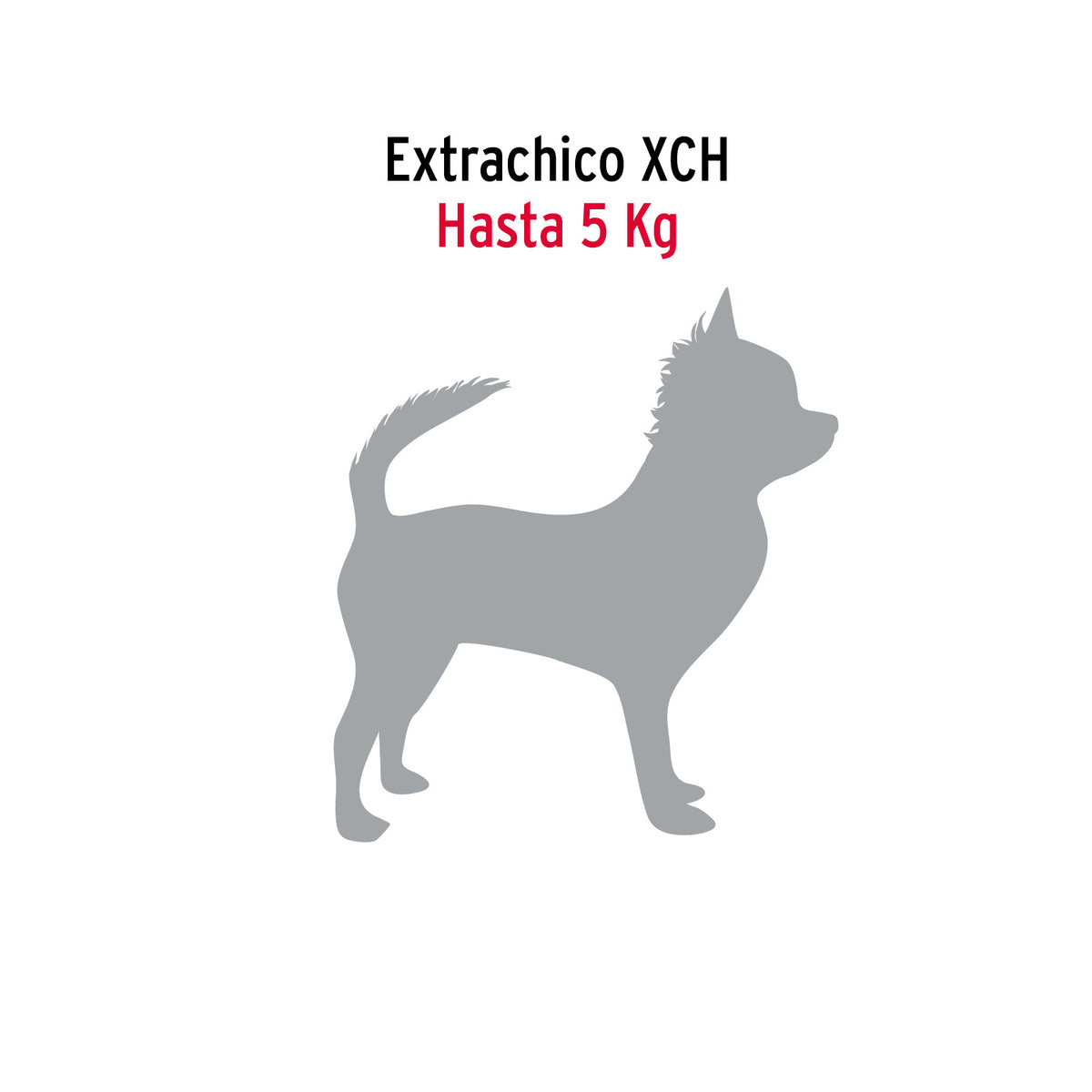 Cadena de 1.8 m de amarre para perro, 1.7 mm, FIERO 1.8 m, 1.7 mm