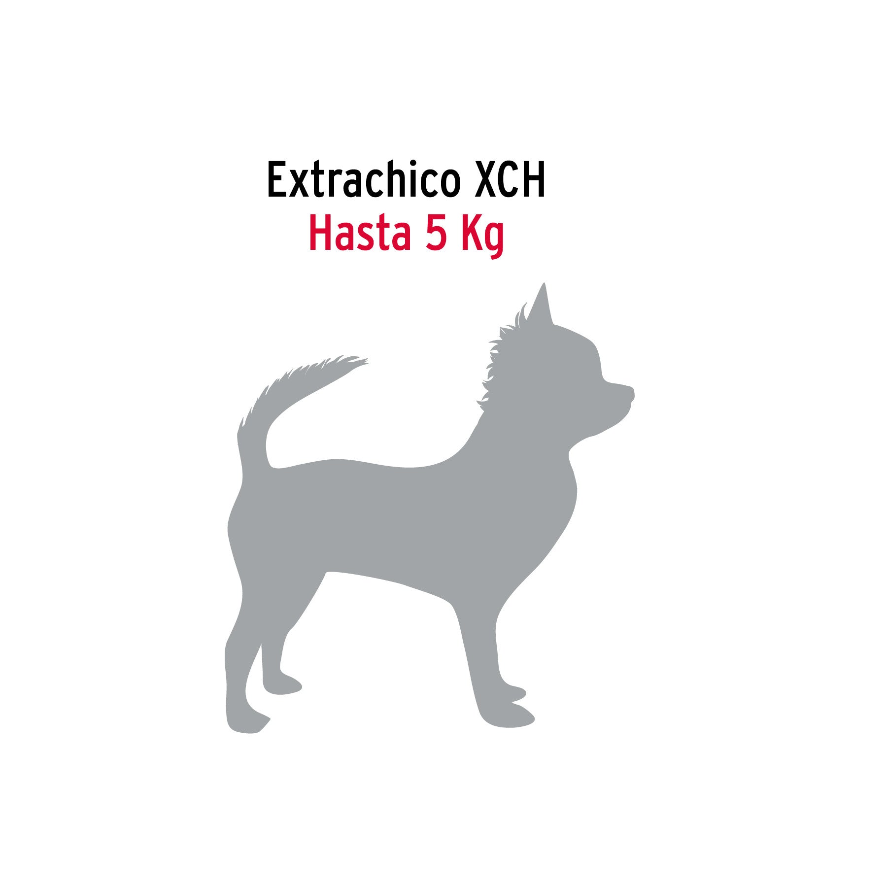 Cadena de paseo para perro de 1.2 m x 2 mm, FIERO 1.2 m, 2 mm