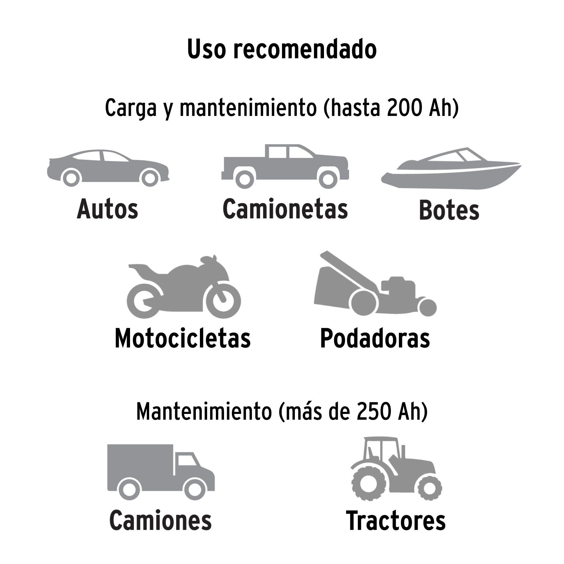 Cargador de baterías 20 A, arrancador de 100A, 12V/24V