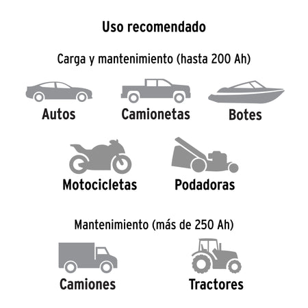 Cargador de baterías 20 A, arrancador de 100A, 12V/24V