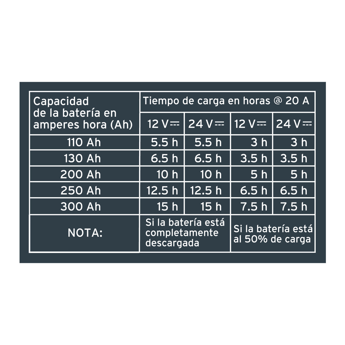 Cargador de baterías 20 A, arrancador de 100A, 12V/24V