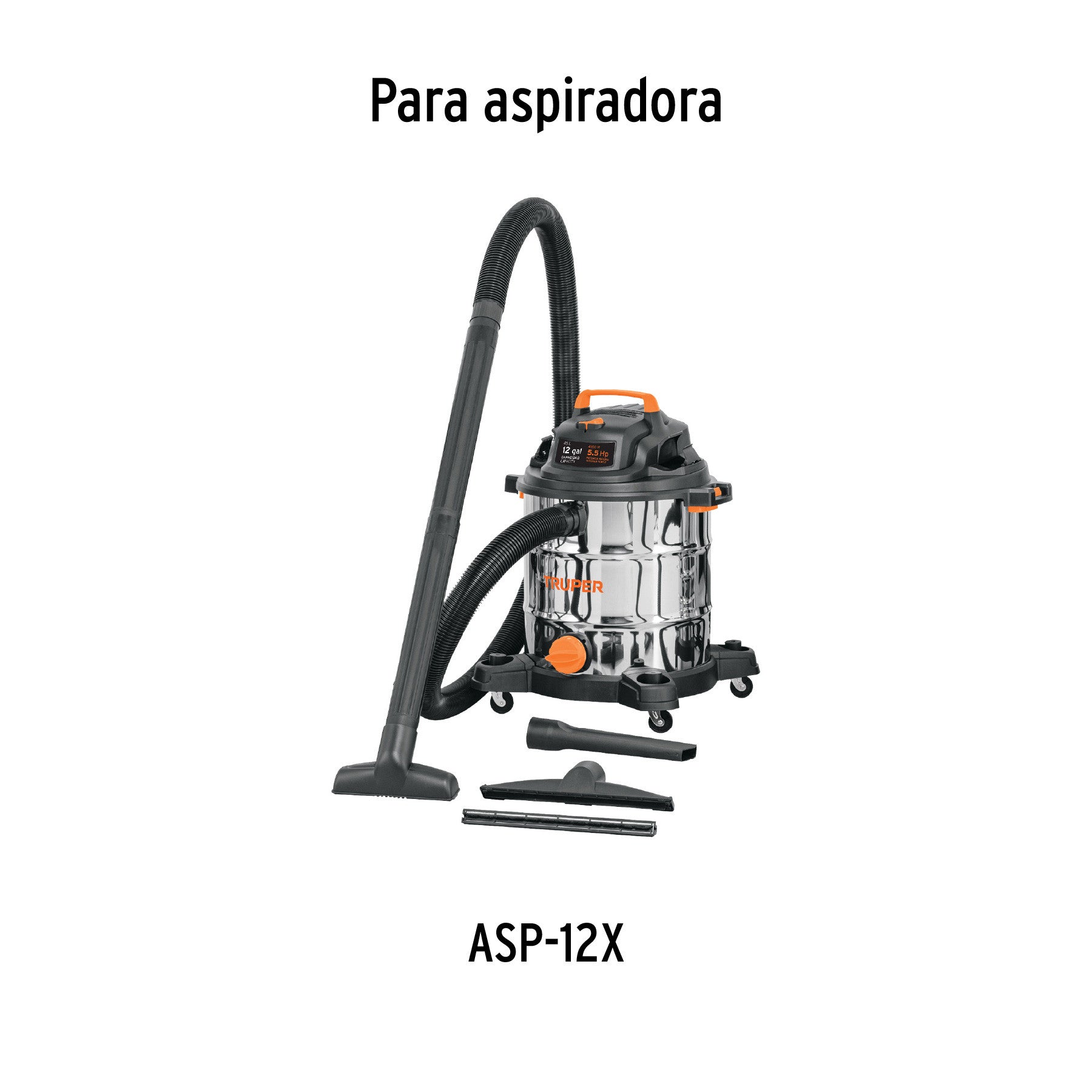 Bolsa con 2 carbones de repuesto para ASP-12X TRUPER