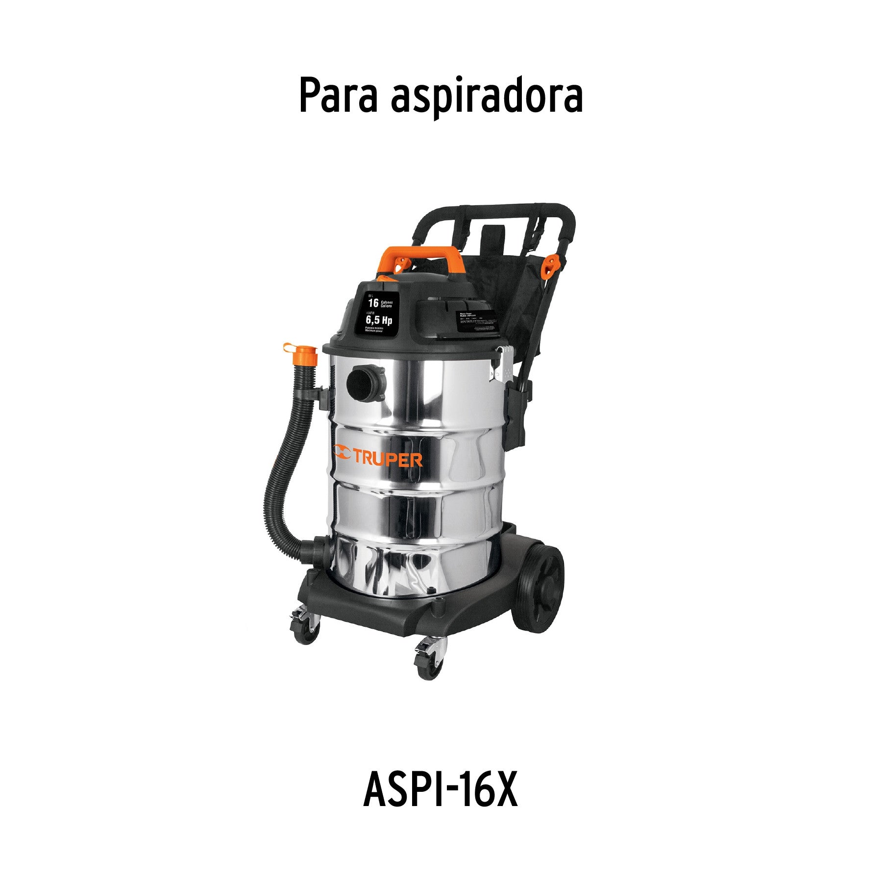 Bolsa con 2 carbones de repuesto para ASPI-16X TRUPER