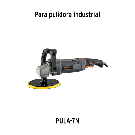 Bolsa con 2 carbones de repuesto para PULA-7N TRUPER