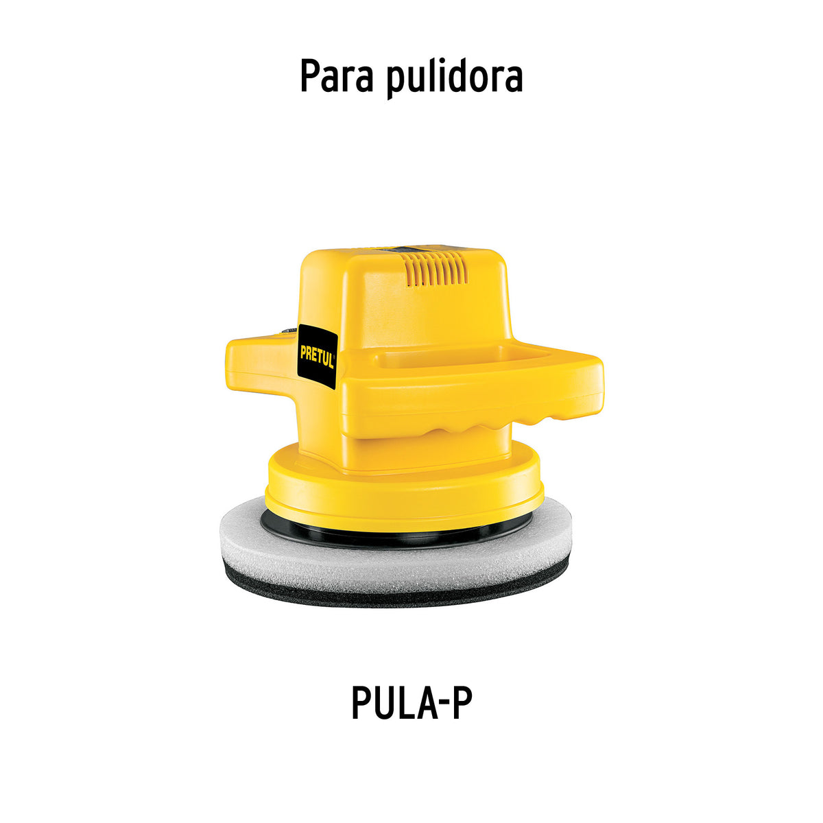 Bolsa con 2 carbones de repuesto para PULA-P TRUPER
