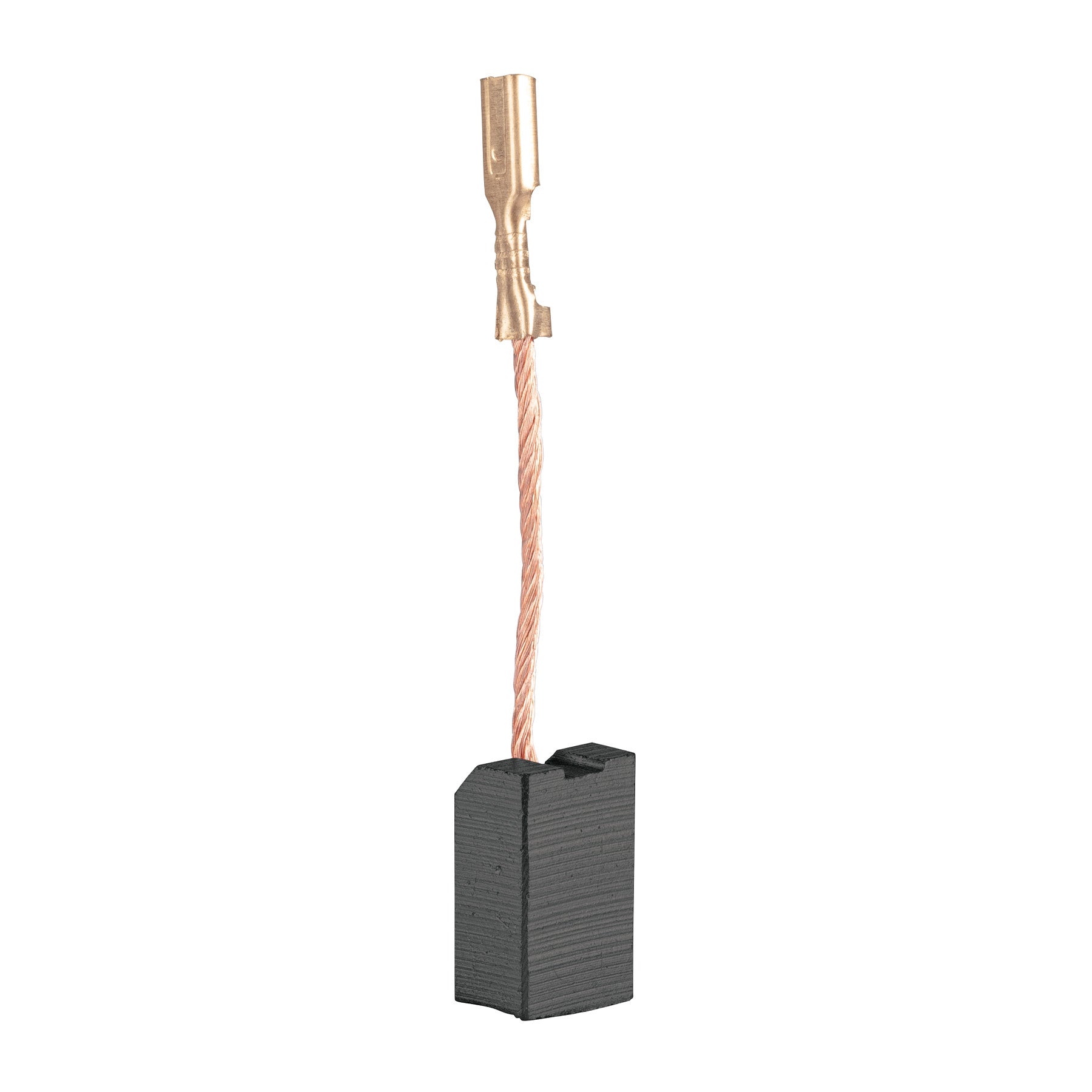 Bolsa con 2 carbones de repuesto para ROTO-1/2N8 TRUPER