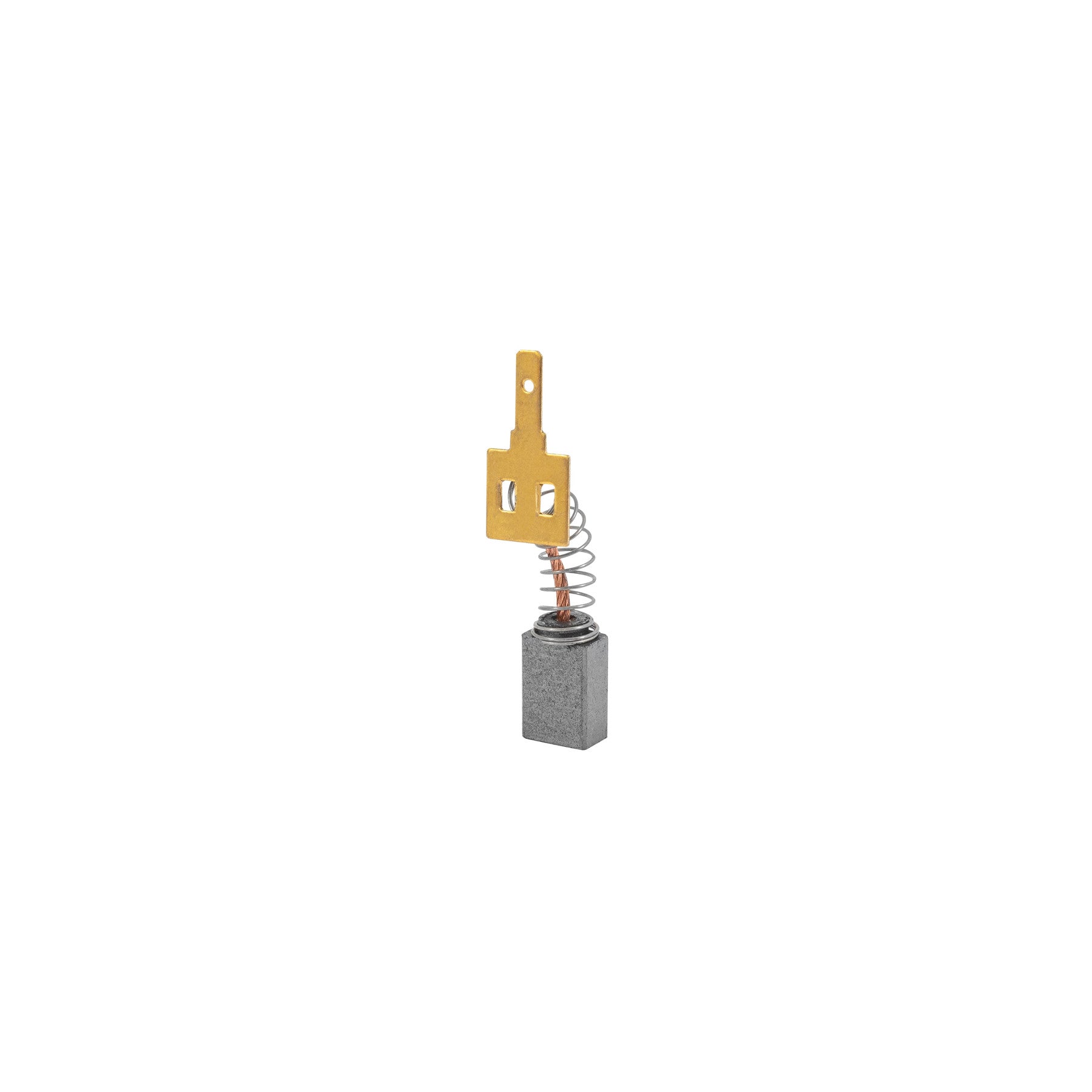 Bolsa con 2 carbones de repuesto para ROTO-3/8P4 PRETUL