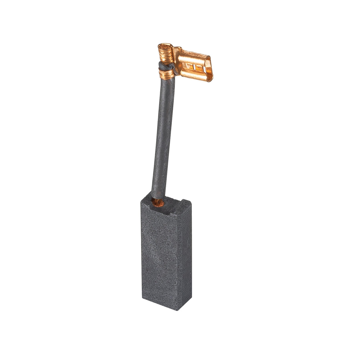 Bolsa con 2 carbones de repuesto para RPLUS-6NX TRUPER