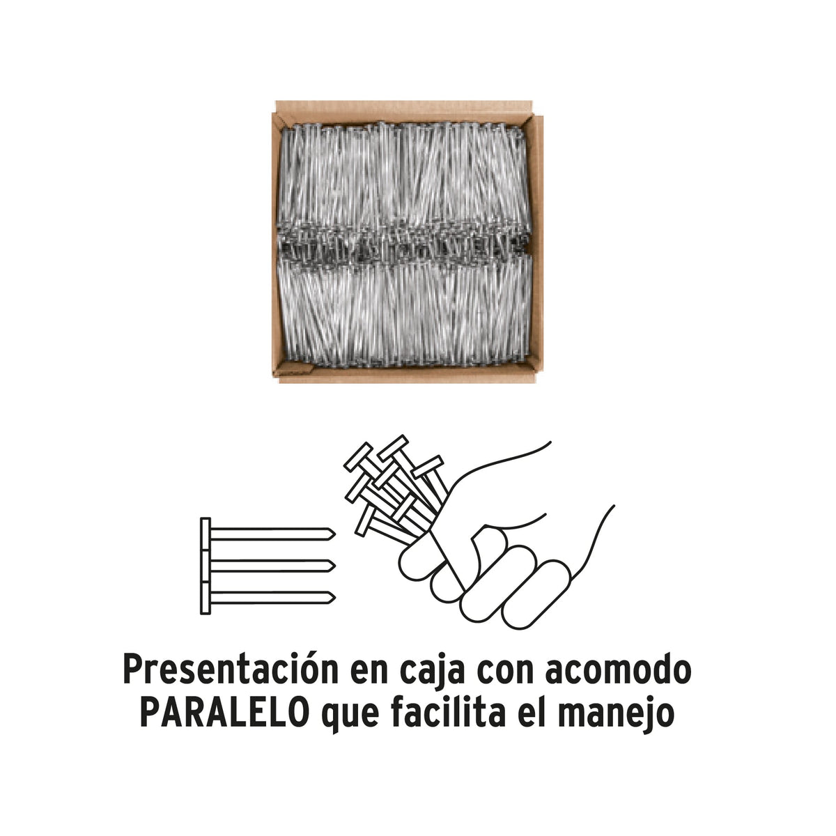 Kilo de clavos para concreto 3' galvanizado, caja de 25 kg