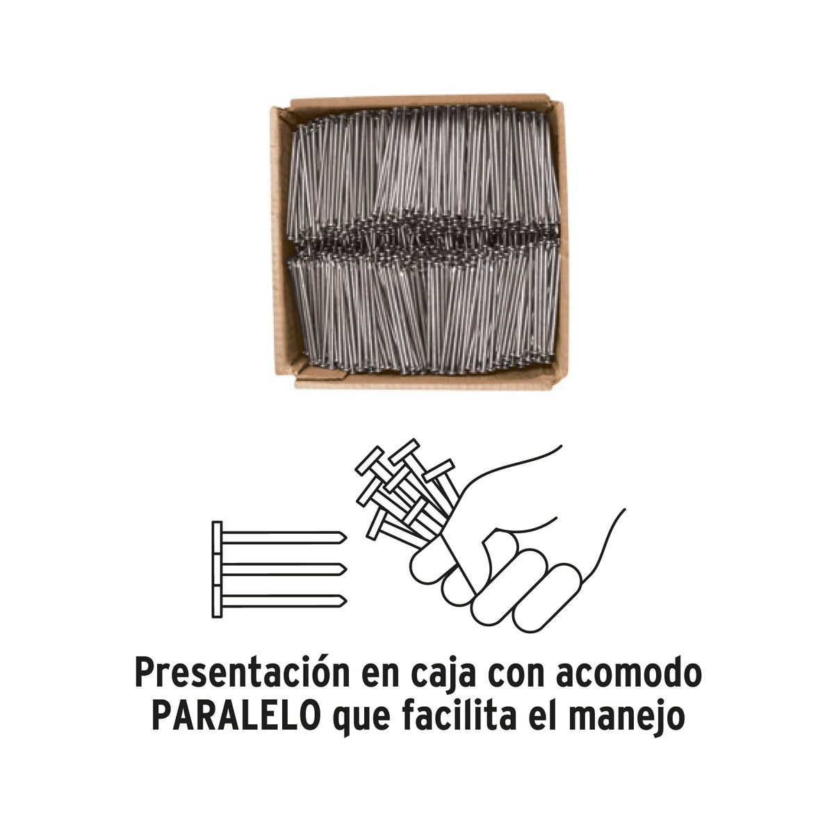 Kilo de clavo estándar 2-1/2' con cabeza en caja de 10 kg