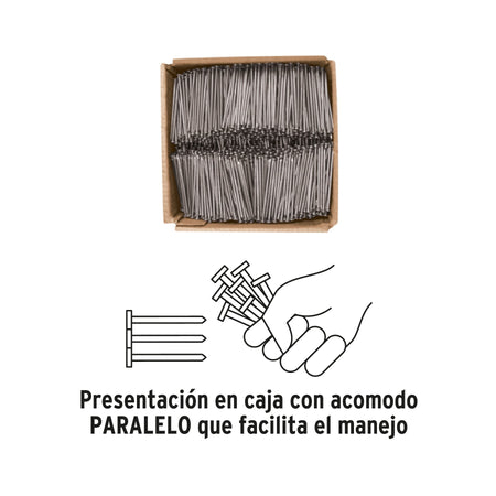 Kilo de clavo estándar 2-1/2' con cabeza en caja de 10 kg