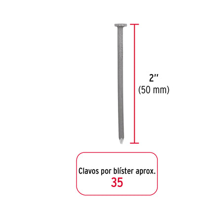 Blisterclavos estandar con cabeza FIERO 2"