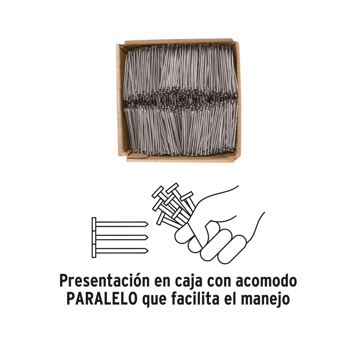 Kilo de clavo estándar 3' con cabeza en caja de 10 kg, FIERO