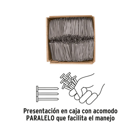 Kilo de clavo estándar 3' con cabeza en caja de 10 kg, FIERO