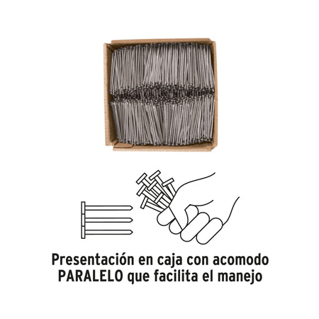 Kilo de clavo estándar 4' con cabeza en caja de 10 kg, FIERO