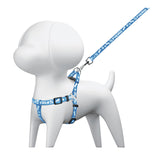 Correa con pechera para perro ancho FIERO 1.5 cm