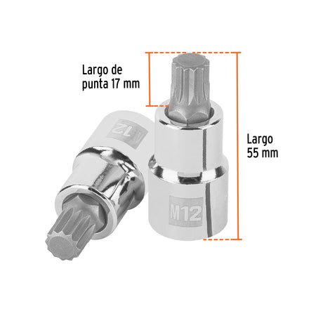Dado punta corta bristol M12, cuadro 1/2', Truper