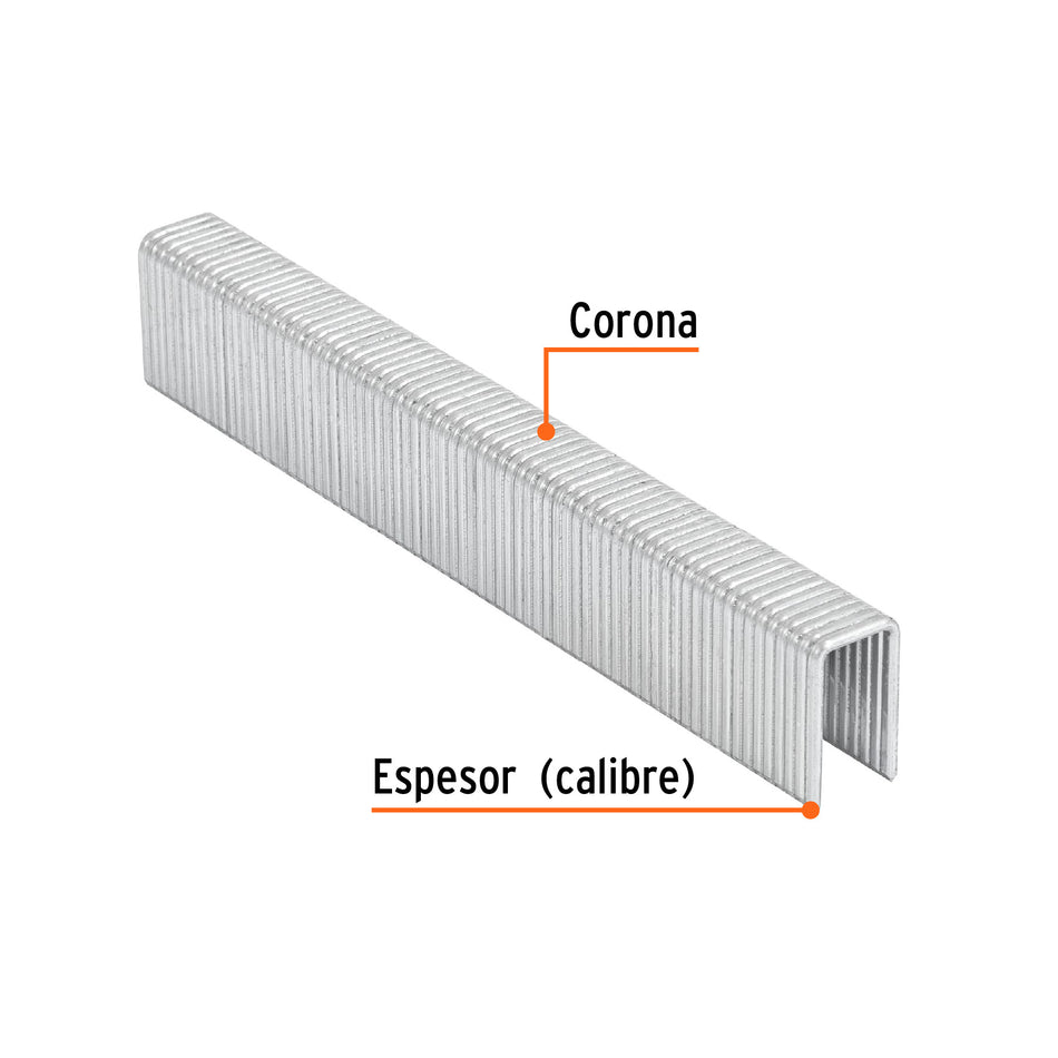Caja con 1000 grapas corona 7/16' cal. 16, 19mm p/ENNE-160 7/16', 16, 19mm