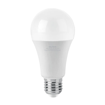 Foco LED 14W (100W) A19 6500K blanca fria 1500 lm caja