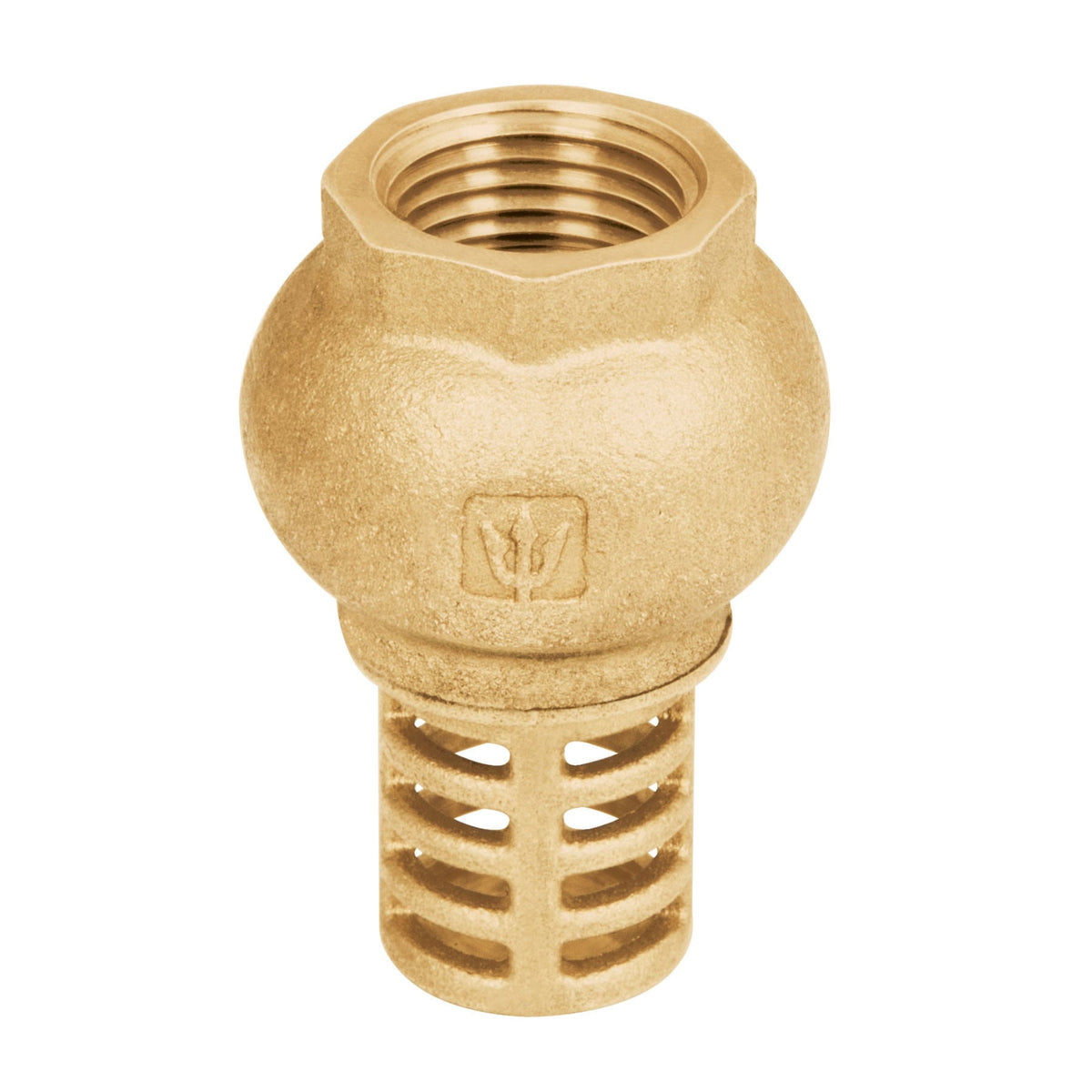Pichancha tipo check de laton 1/2" FOSET