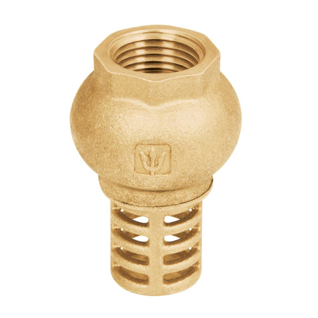 Pichancha tipo check de laton 1/2" FOSET