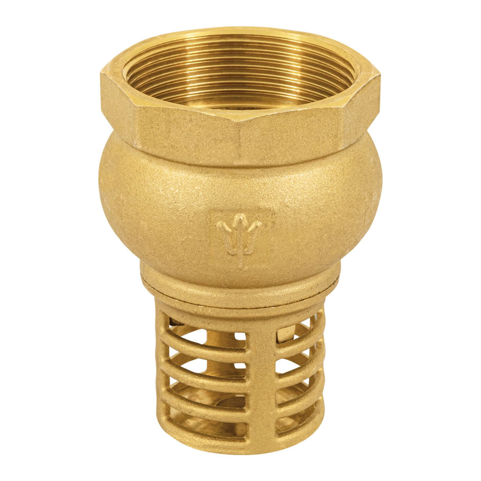 Pichancha con rejilla de laton FOSET 2"