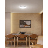 Luminario LED plafón decorativo 8W 6500K, liso, BASIC 8W