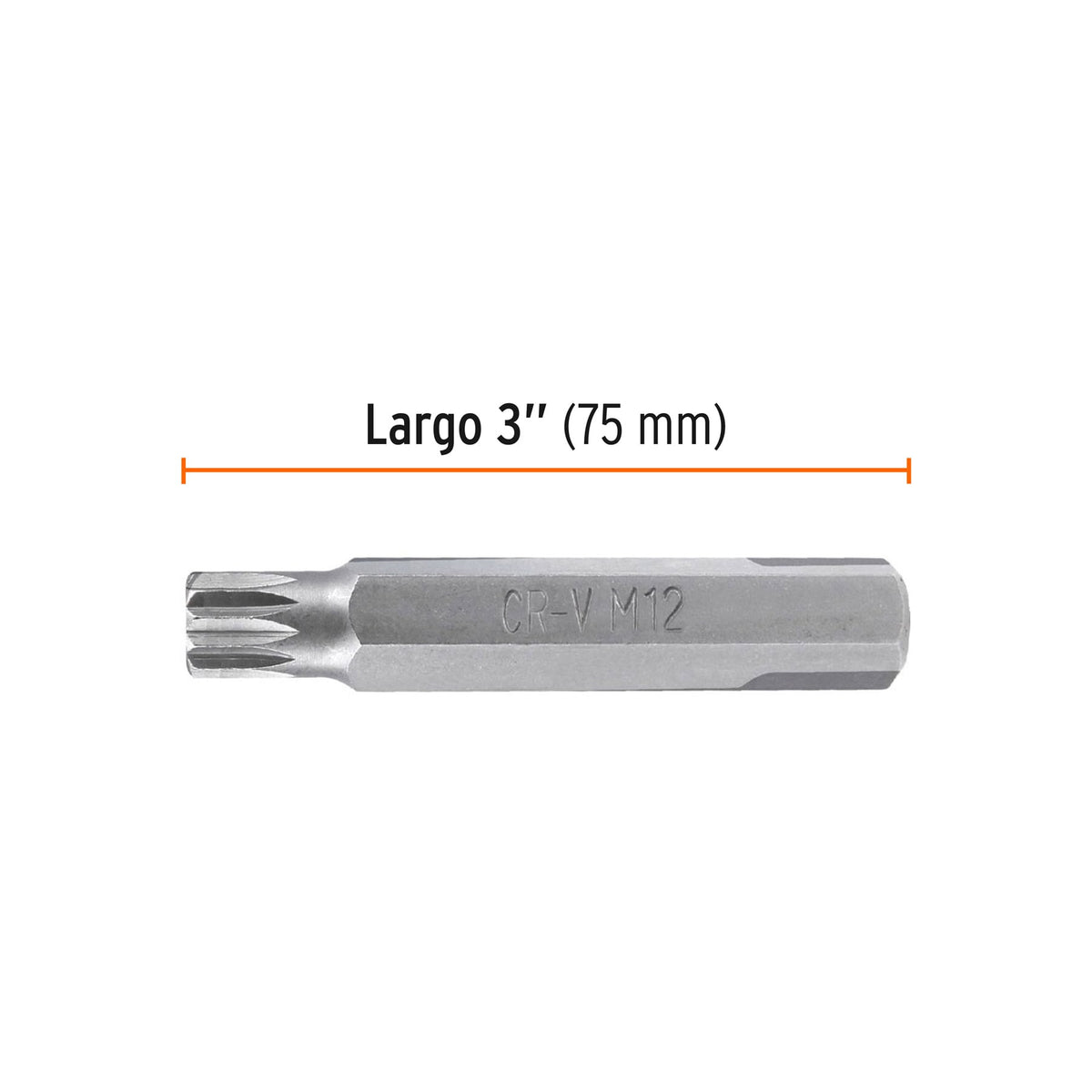 Estuche con 3 puntas bristol M12 largo 3', Truper Expert