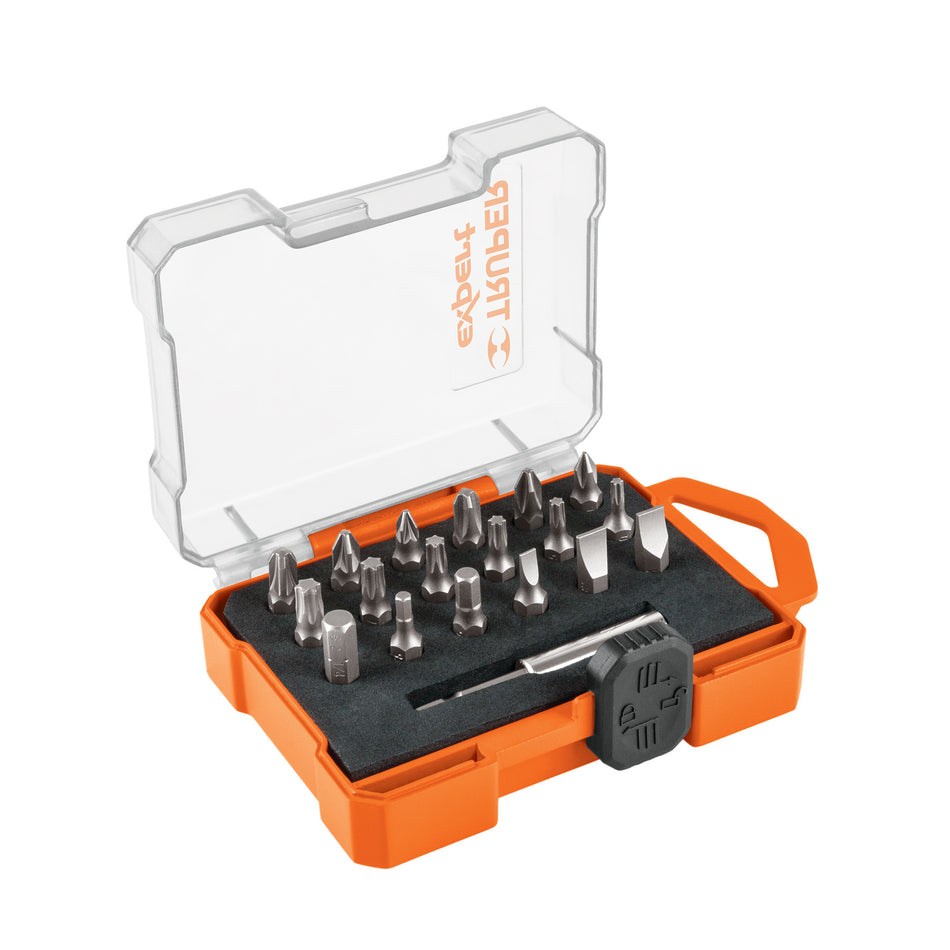 Juego de 19 puntas mixtas largo 1' estuche plástico, Expert