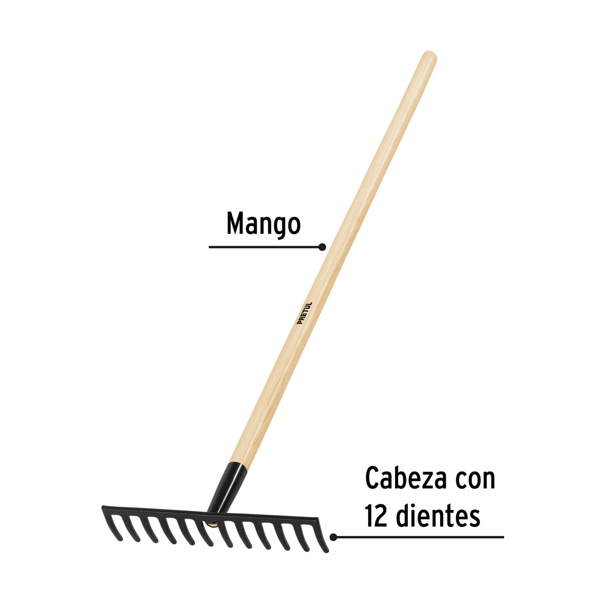 Rastrillo recto de 12 dientes, mango de 48', Pretul