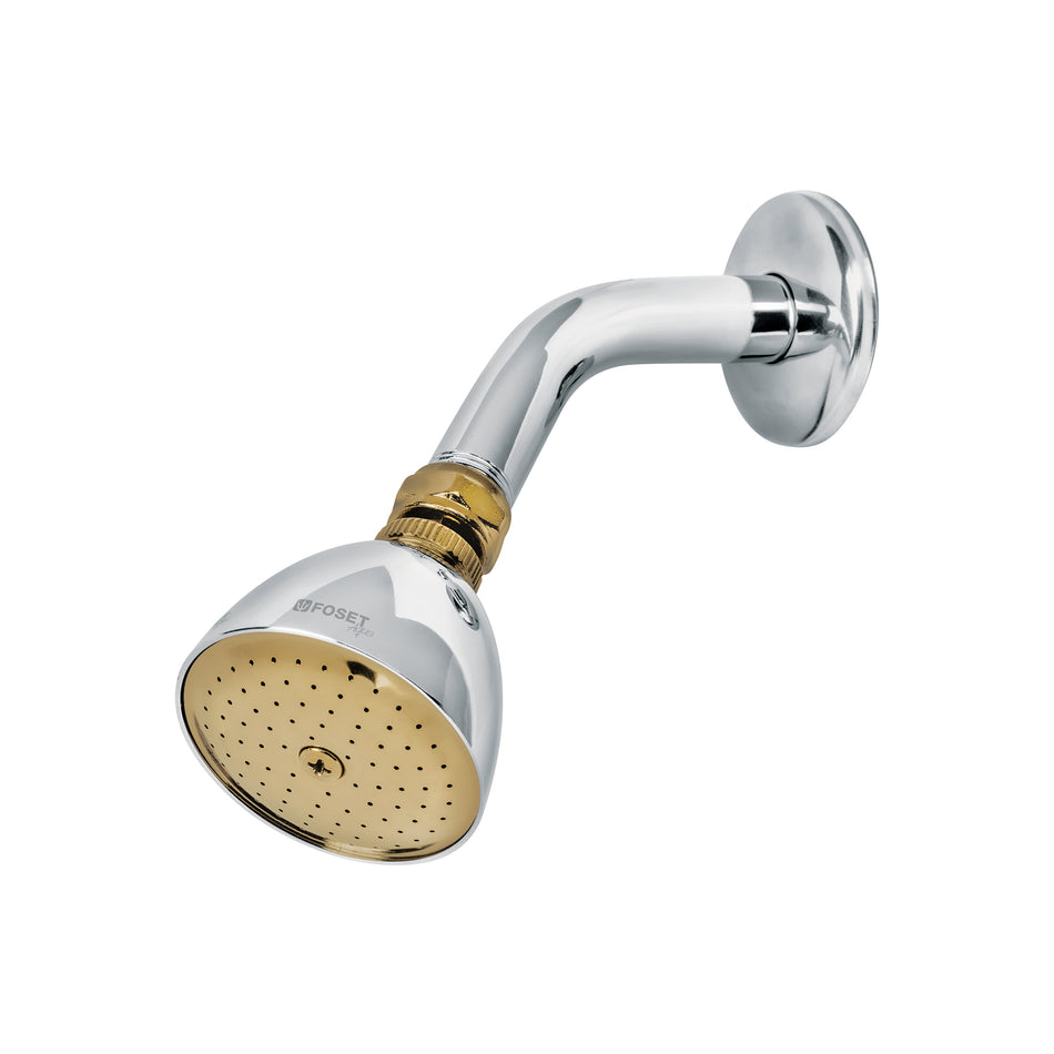 Regadera conica 2-1/2"metalica brazo y chapeton cromo-oro
