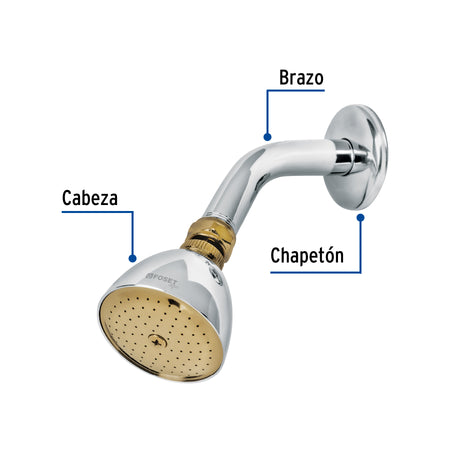 Regadera conica 2-1/2"metalica brazo y chapeton cromo-oro