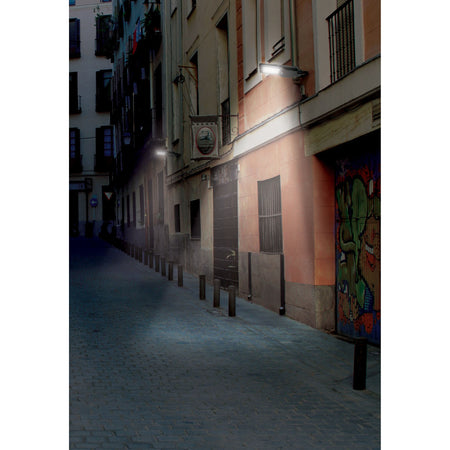 Luminario suburbano solar LED 40 W 6500 K con control remoto