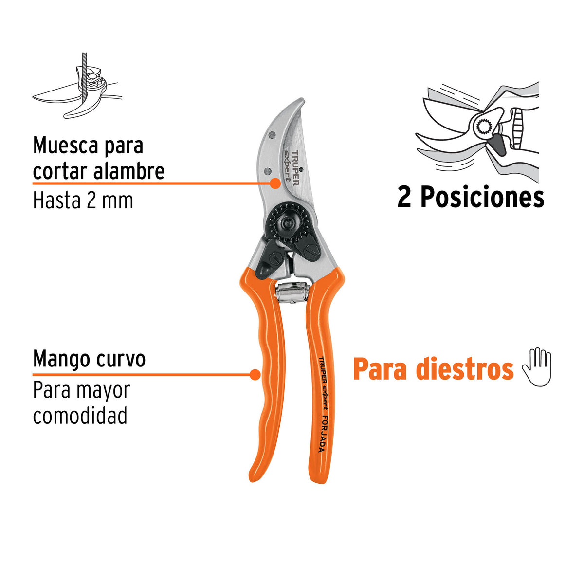 Tijera para poda 8' de aluminio forjado para diestro, Expert