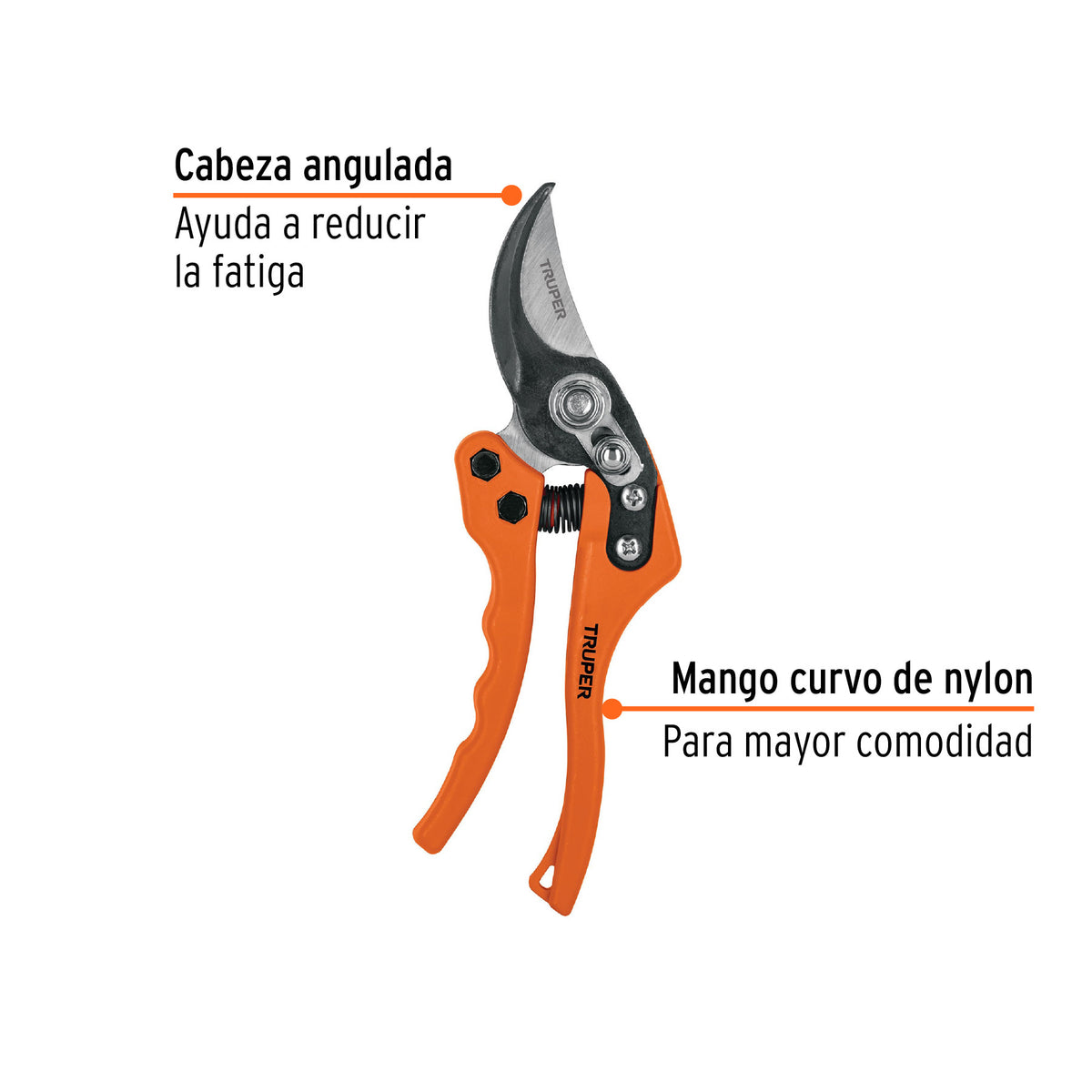 Regadera cromo 4"con 5 funciones con brazo FOSET ELEMENT
