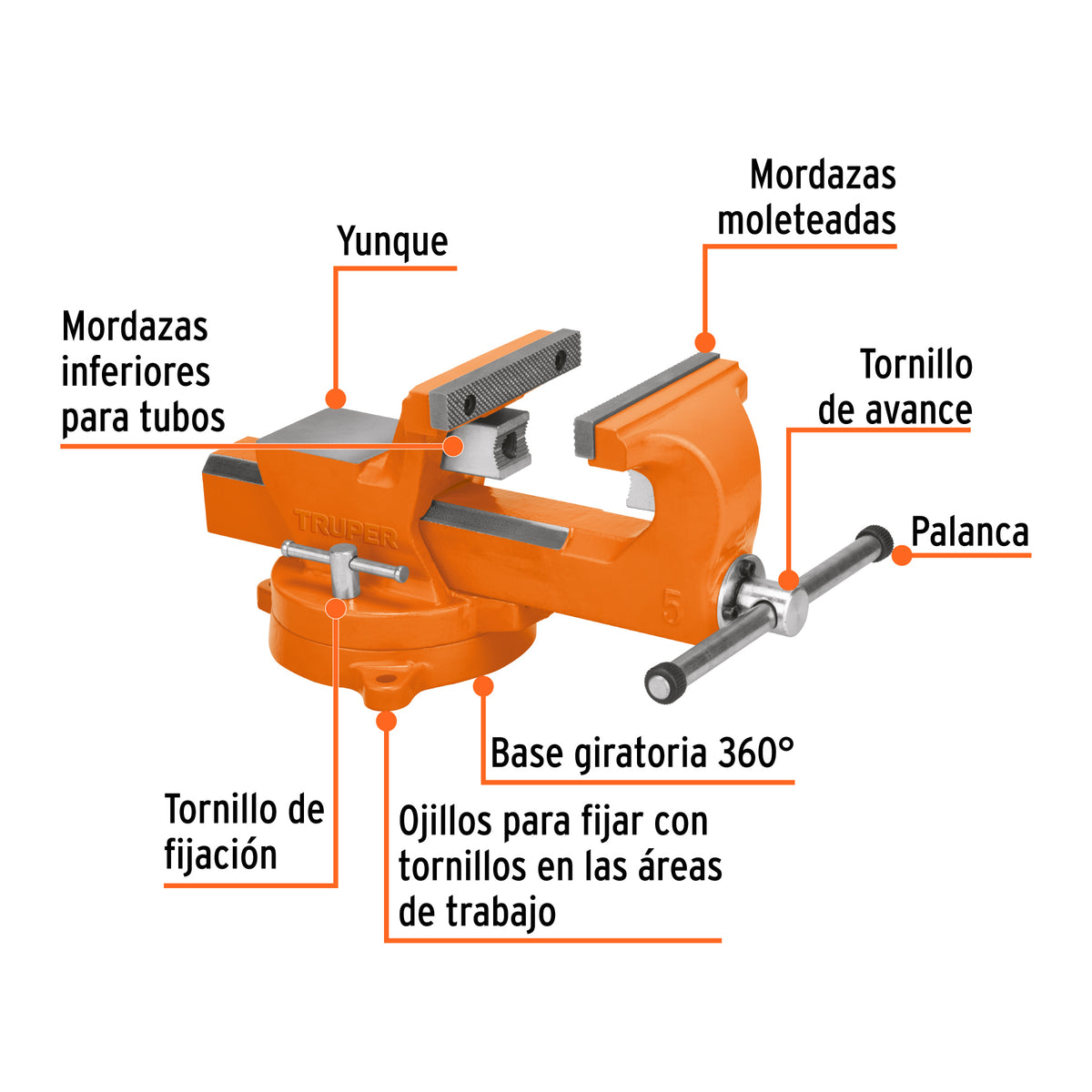 Tornillo de banco 5' industrial de hierro dúctil, Expert